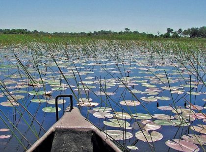Okavando Delta