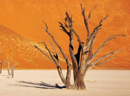 Sands of Namib Desert
