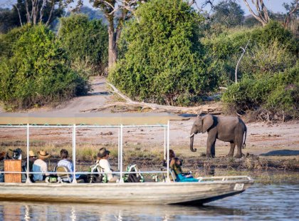Elephant spotting while on Chobe National Park cruise, Botswana