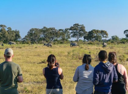 Botswana Family Safari with Teenagers