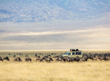 Tanzania Ngorongoro tourists game drive Safari