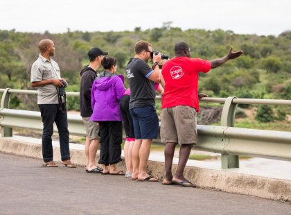 Intrepid Travel zimbabwe kruger national park group leader bridge