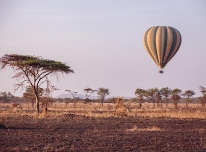 Ballooning over Serengeti National Park, Tanzania on an Intrepid Travel tour