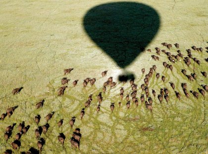 View from a balloon ride over the Serengeti National Park, Tanzania on an Intrepid Travel tour