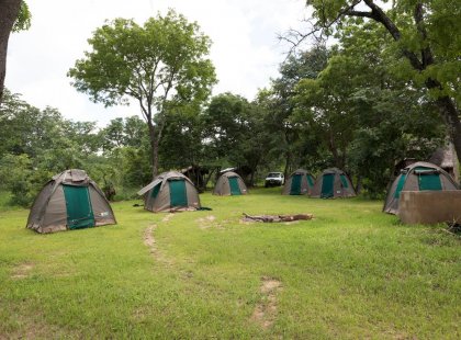bush-camp-tents.
