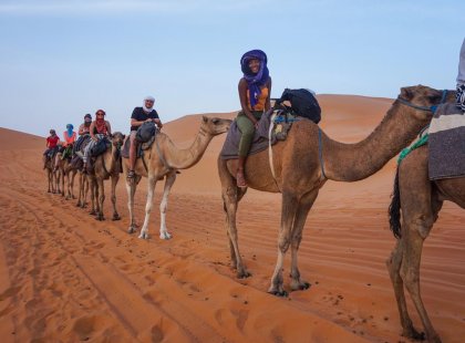 Morocco Merzouga camels group