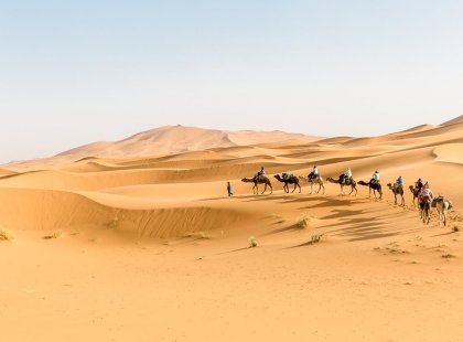 Morocco, Sahara, Camel ride