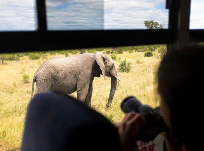 South Africa Family Safari with Teenagers