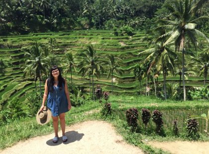 Ubud rice terraces in Bali