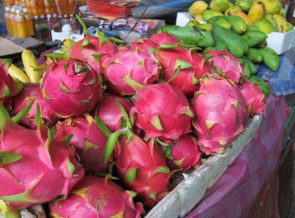 TTZF tasting local fruit in Chiang Mai on Thailand Vegan Food Adventure