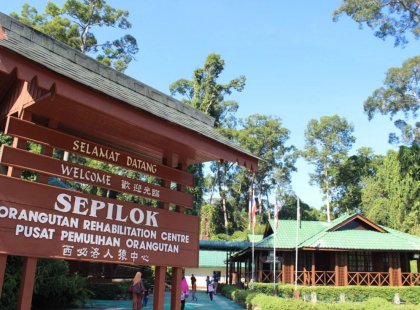 Spend some time at the Sepilok Orangutan Sanctuary in Borneo