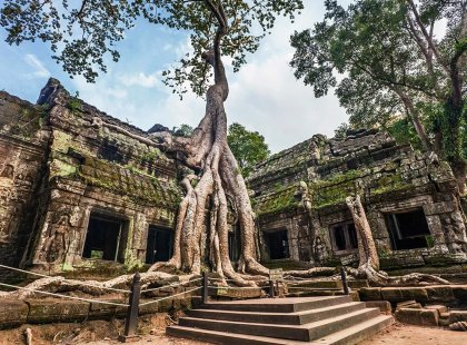 The forest infested ruins of Ta Prohm in Siem Reap, Cambodia as part of an Intrepid Travel tour