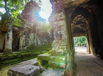 Sunshine beaming through Temples on Cambodia Real Food Adventure
