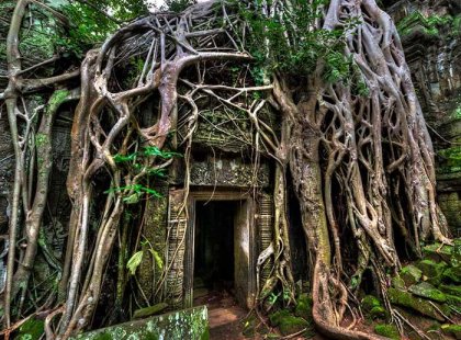 Explore the ancient ruins of Angkor Wat