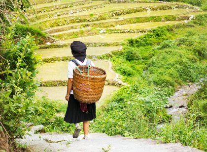 China, Longji Rice terrace, Local woman walking