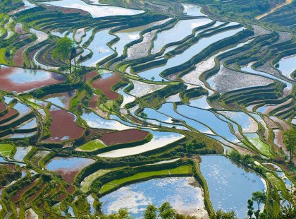 The amazing rice terraces of Yuayang in China