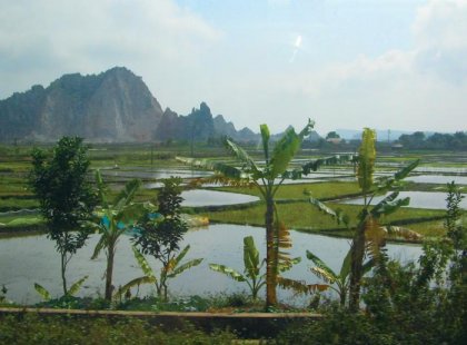 Rice fields and countryside in Hanoi, Vietnam
