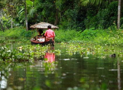 india_kerala_kochin_backwater_tropical