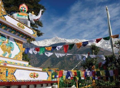 india dharamsala kalaczakra temples himalayas colourful prayer flags mountains