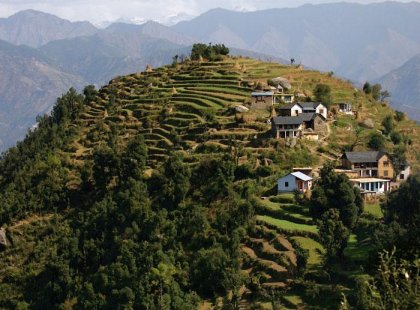 Houses of Mountain side Dalhousie Village, India