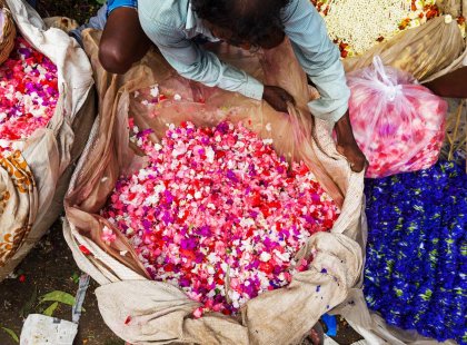 Mullik Ghat Flower Market in Kolkata, India