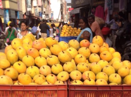 Mango cart in Bangalore