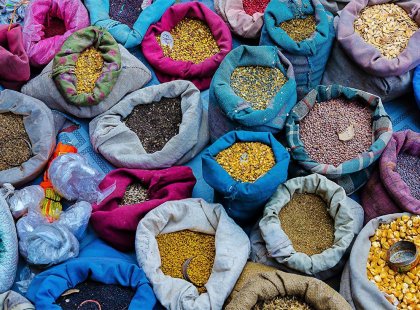 India, Ladakh, Leh Market, Spices