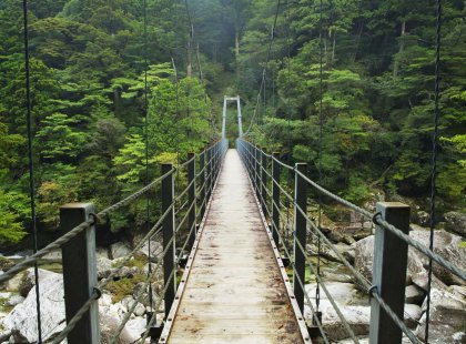 Bridge in Yakushima, Japan