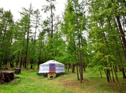 Intrepid Travel mongolia ger in lake khovsgol northern mongolia