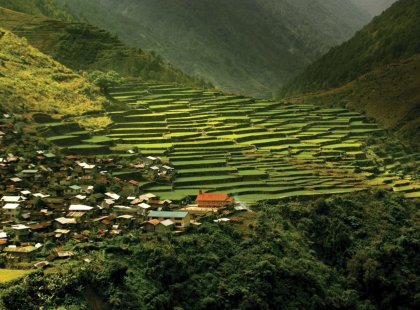 sagada rice terraces in the philippines