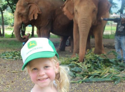 Visit an Elephant Nature Park in Chiang Mai