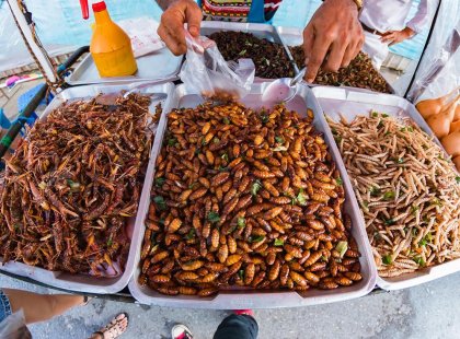 Try some local insect delicacies on a 'real food adventure' in Thailand
