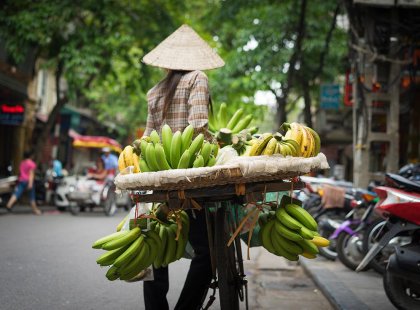 Fruit vendor taking their stock of bananas on the back of their bike in Hanoi, Vietnam for an Intrepid Travel tour