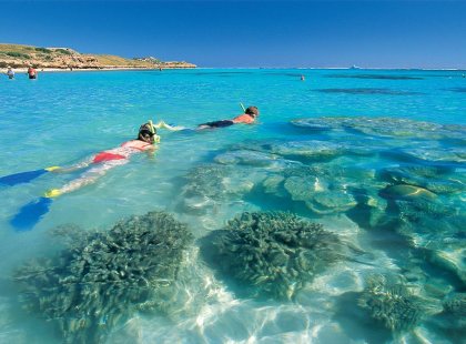 australia wa coral bay snorkelling western safari