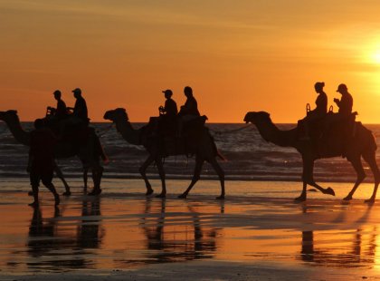 Group riding camels at sunset in Broome, Western Australia