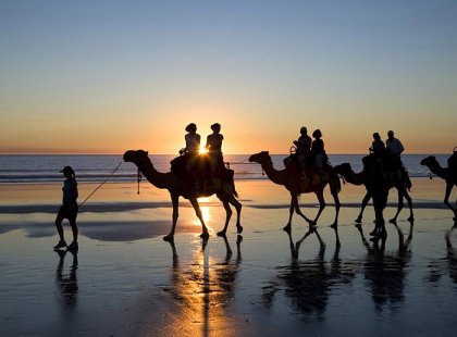 Camel riding on beach in Broome at dusk