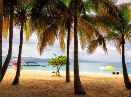 Palm trees on the beach in Montego Bay
