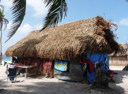 panama beach cottage palm trees