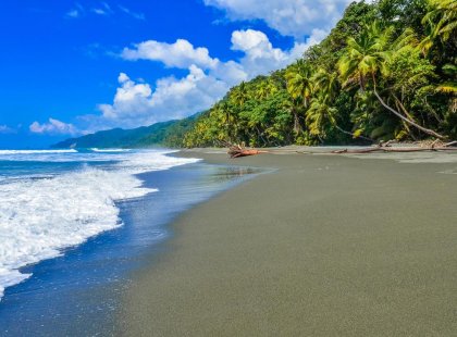 Intrepid Travel costa rica corcovado rainforest beach tropical