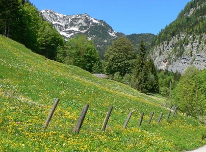 austria hallstatt mountain village rural