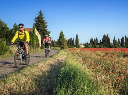 Cycling beside poppy fields in La Baux, France