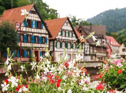 Germany, Black Forest, Village, Houses, River