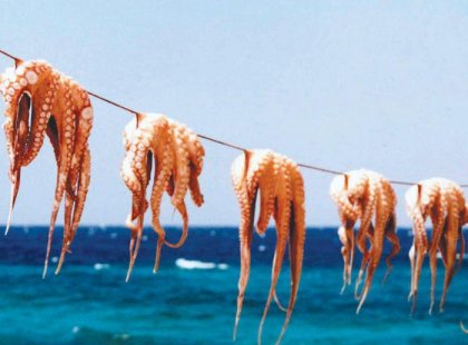 Seafood in Mykonos