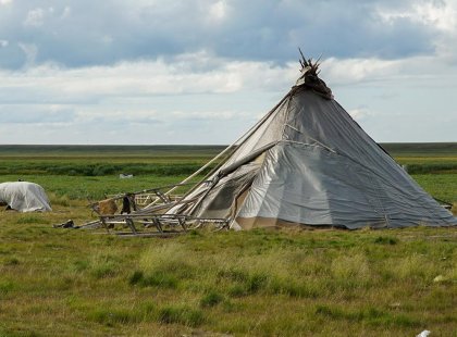 Nenet peoples tent in a field