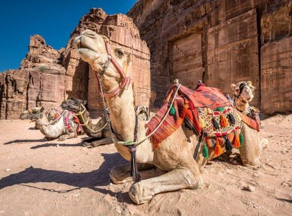 Petra uncovered with Intrepid Travel