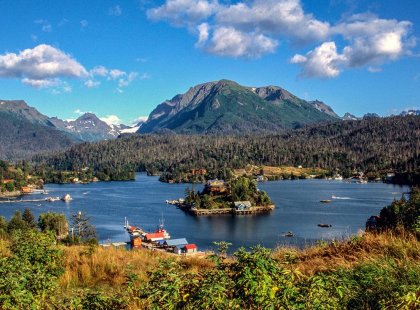 Alaska's Kenai Peninsular with Intrepid Travel - Halibut Cove