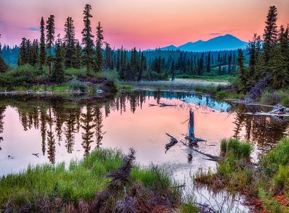 Alaska Adventure with Intrepid Travel - Wrangell National Park