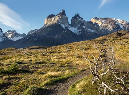 patagonia chile torres del paine view grass