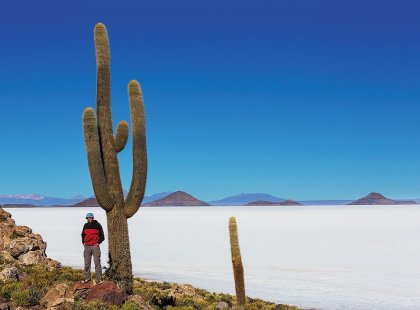 Traveller standing next to giant cactus before salt flat landscape, Salar de Uyuni, Bolivia