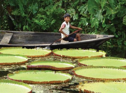 peru amazon jungle paddling lily pads